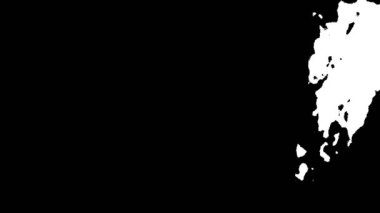 Siyah desenli beyaz desenli, yakın çekim.