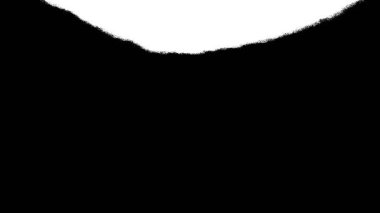 Siyah desenli beyaz desenli, yakın çekim.