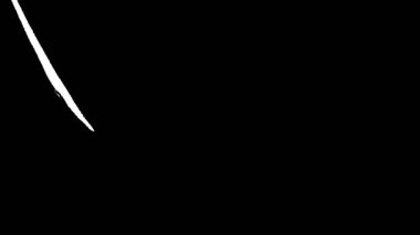 Siyah ve Beyaz Grunge Doku Geçiş Animasyonu