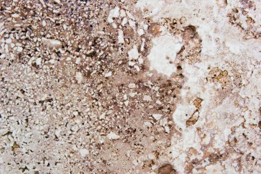 Doğa taşı dokusu arkaplanı.