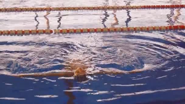 Terhes fiatal nő úszó hátúszás — Stock videók