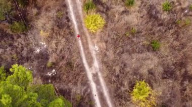 Genç bir kadın ormanda koşuyor..