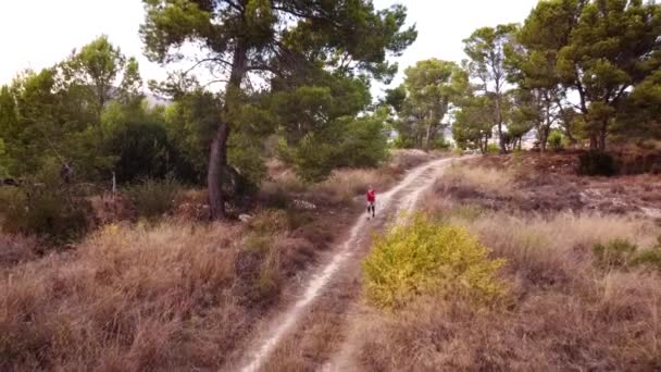Молода жінка біжить у лісі . — стокове відео