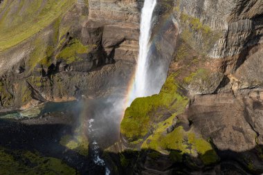 A waterfall cascades down a steep cliff surrounded by mossy rocks, with a vivid rainbow forming in the mist at the base in an Icelandic landscape.