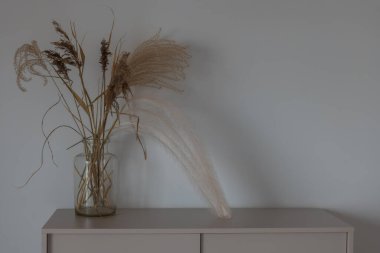 Gdansk 'ta gri bir duvarın yanında, soluk bir dolabın üzerinde kurumuş otlarla dolu şeffaf camdan bir vazo duruyor. Yumuşak yan ışık hassas gölgeler oluşturur, dokuyu ve sakin tasarımı vurgular..