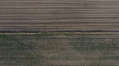 Hava görüntüsü, çimenli bir şeritle ayrılmış iki tarla gösteriyor. Üst arsa, paralel çizgilerle sürtünmüş, alt arsa seyrek yeşil büyüme, düşük tırmık ışığı, günün erken saatlerinde ya da geç saatlerinde.