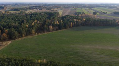 Havadan kırsal alan, sonbahar bölgeleriyle karışık bir ormanın sınırında. Yamalı tarlalar ufka kadar uzanıyor. Öğleden sonra ışığı yumuşak gölgeler bırakır ve kenarları tanımlar..