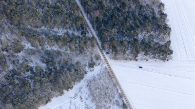 Polonya, Nowy Lubiel yakınlarındaki hava manzarası çam ormanı ve kar tarlaları arasında düz bir yol olduğunu gösteriyor. Koyu renk bir araç doğru yolda ilerliyor. Kar gölgeliğin tozunu alır..
