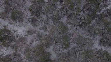 Polonya 'nın Nowy Lubiel yakınlarında karla kaplı bir ormanın yukarıdan görünen görüntüsü. Düz bir kar yolu, tekerlek izleri ile kaplı. Uçak yavaşça hareket ediyor..