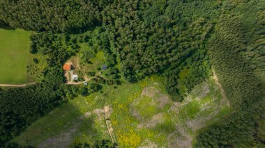 Aerial top down view of an orange roof house, cabin, car, and dirt track in a forest clearing, mixed woods and meadows with yellow wildflowers in midday sun.
