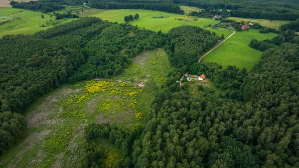 Hava görüntüsü turuncu çatılı, sık ormanın yanında küçük beyaz bir ev, dolambaçlı toprak bir yol, dağınık çiftlik hayvanları, yeşil tarlalar ve yumuşak bulutlu sarı kır çiçekleri gösteriyor..