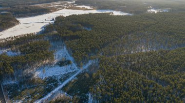 Polonya 'daki bir çam ormanının havadan görünüşü. Evergreen gölgeleri, dar bir yol çapraz kesişirken kara uzun gölgeler bırakır. Donmuş göller ve sulak alanlar ışıldar..