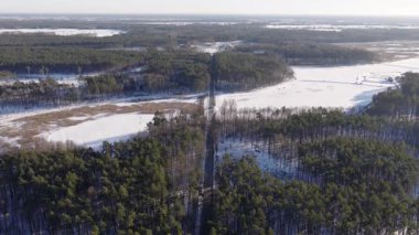 Hava aracı görüntüsü Polonya 'da çam ormanlarını kesen, donmuş göllere ve bataklıklara doğru ilerleyen düz bir yol, uzun ağaç gölgeleri ve hareket halinde olan yalnız bir araç gösteriyor..