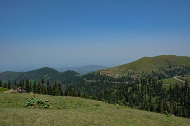 Gürcistan, Batumi yakınlarındaki Adjara 'da ahşap kulübeler ve dolambaçlı toprak bir yol etrafında kayan tepeler ve kozalaklı ormanlar bulunur. Gün ortası ışığı ve geniş bileşimi yüksekliği vurgular.
