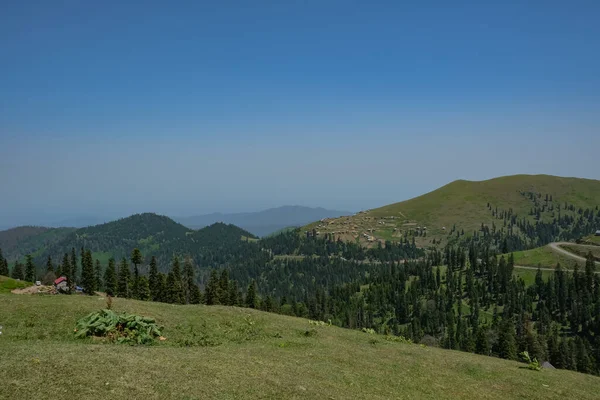 Gürcistan, Batumi yakınlarındaki Adjara 'da ahşap kulübeler ve dolambaçlı toprak bir yol etrafında kayan tepeler ve kozalaklı ormanlar bulunur. Gün ortası ışığı ve geniş bileşimi yüksekliği vurgular.