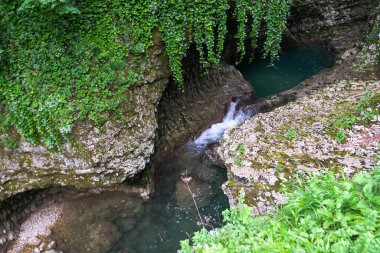 Küçük bir şelale dar bir kireç taşı yarığından Batı Georgia 'da sarmaşıklar, yosunlu kayalar, yumuşak gün ışığı ve parlak yapraklarla dolu bir turkuaz havuza akar..