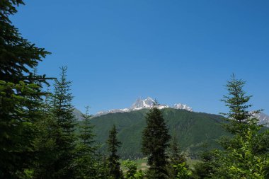 Ushba Dağı 'nın ikiz kuleleri Gürcistan' ın Svaneti kentindeki orman tepelerinin üzerinde yükselir. Uzun ladin ve köknar, parlak öğle ışığı ve açık bir yaz gökyüzü altında zirveleri çerçeveler..