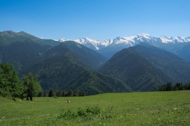 Geniş bir alp çayırı, Gürcistan 'ın Büyük Kafkasya kentindeki ormanlı tepelere ve karlı zirvelere götürür. Küçük bir figür, açık gün ışığı altında çimenlerde oturuyor..