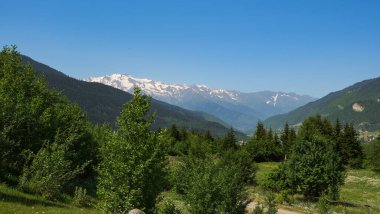 Gürcistan 'daki bir yaz vadisinde Svaneti tepeleri, alp çayırları, kozalaklı ağaçlar ve buzullar görülüyor. Parlak gün ışığı ve derin mavi bir gökyüzü. Karanlık orman yamaçları ve tepeleri..