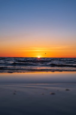 Güneş, Litvanya 'nın Klaipeda kenti yakınlarındaki Baltık Denizi' ne doğru batıyor. Turuncu ışık, minimalist bir alacakaranlık sahnesinde yumuşak dalgaların üzerinde süzülen tek bir deniz kuşu gibi ıslak kıyılara yansıyor..