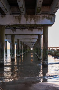 Yosun dizili sütunlar gün batımında Baltık Denizi üzerinde parlak bir ufka doğru çekiliyor. Yumuşak dalgalar kum, sıcak ışık parıltıları, perspektif zamanı vurguluyor.