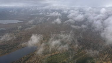 Belarus 'taki karışık orman ve sulak alanların hava aracı görüntüsü, alçak sürüklenen bulutlar ağaç tepelerini, karanlık gölleri, kıvrımlı kanalları, ve sol tarafta uzamış bir göl..