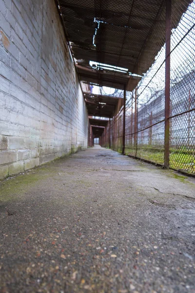 Vilnius 'taki Lukiskes Cezaevi' nde dar bir güvenlik şeridi boyunca alçak görüş, lekeli tuğla duvar, paslı zincir halkası ve dikenli tel, yukarıda yırtık ağ ve nemli çatlamış beton..