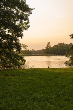 Gün batımı ışığı, çimenli kıyılar ve yapraklı ağaçlarla Litvanya ovalarında yıkanır, sakin altın sularda insanların olduğu soluk bir tekne, ve uzak kıyılarda orman kıyıları vardır..