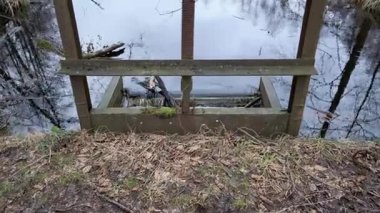 Yıpranmış ahşap bir kapı yapısının statik geniş bir görüntüsü huzurlu bir bataklık manzarasını çerçeveliyor. Durgun su, çıplak selvi ağaçlarını ve bulutlu gökyüzünü yansıtır. Çevre için mükemmel kasvetli bir doğal manzara yaratır....