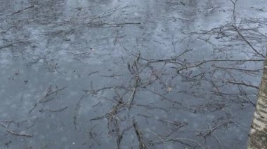 Kış manzarası kısmen donmuş bir göl, devrilmiş dallar ve çıplak ağaçlar gösteriyor. Sessiz, düşünceli sahne soğuk mevsimin özünü huş ağacı ve kozalaklı ağaçlarla yakalar....