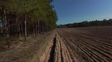 İnsansız hava aracı görüntüleri yoğun kozalaklı ormanın yanında belirgin çizgilerle geniş ekili tarım arazileri yakalıyor. Açık güneşli koşullar tarım için ideal kırsal araziyi gösteriyor...