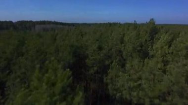 İnsansız hava aracı tarlaları tarladan karışık yaprak döken ve kozalaklı ormanlara geçiş manzaraları yakalıyor. Açık mavi gökyüzü ile bahar mevsimi, arazi kullanımı desenlerini ve mevsimleri gösteriyor...