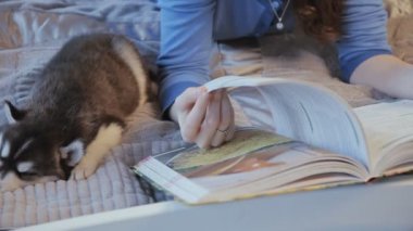 Köpek yavrusu Sibirya Husky bir kitap okuyan bir kızla yatakta uyuyor