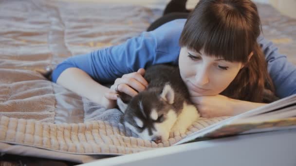 Ze streelt pup Siberische husky op bed — Stockvideo