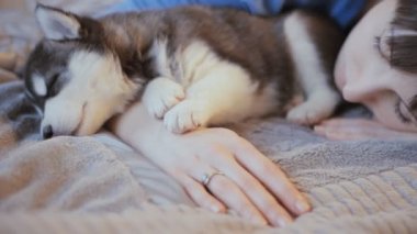 bir köpek yavrusu Sibirya Husky yatakta uyuyan kadın