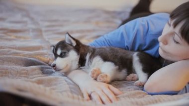 güzel bir kız ve Sibirya husky yatakta bir odada bir sevimli köpek