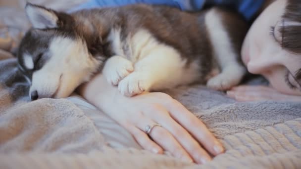 Vrouw slapen op het bed met een puppy Siberische Husky — Stockvideo