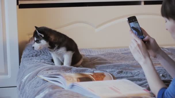 Menina bonita na cama filhote de cachorro telefone fotografado Siberian Husky — Vídeo de Stock