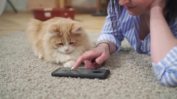 แมวเล่นเกมบนสมาร์ทโฟน ถัดจากหญิงสาวบนพรมในห้องนั่งเล่น — วีดีโอสต็อก