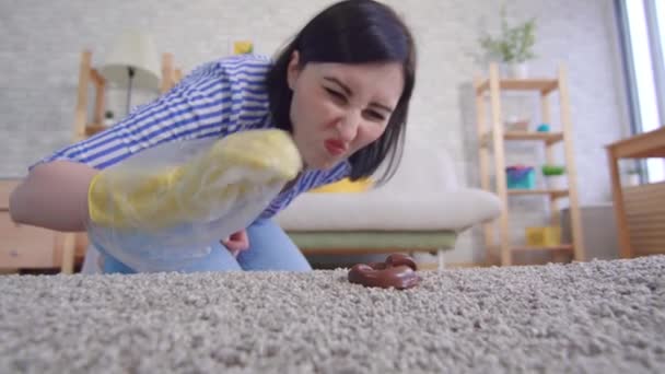 Nuori nainen poistaa ulosteen lemmikkieläinten jälkeen matosta — kuvapankkivideo