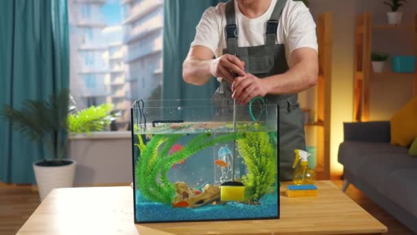 Servisní akvarista se zabývá čištěním akvária speciální houbou — Stock video