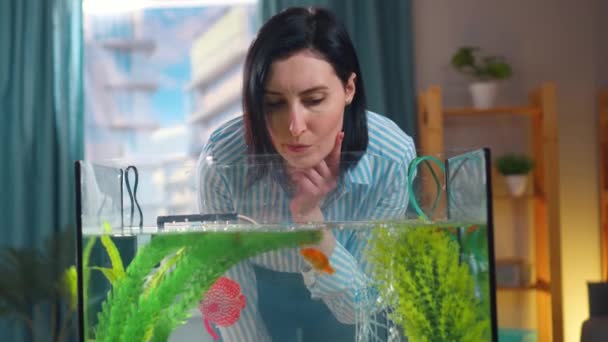Überzeugende junge Frau im Goldfisch-Aquarium — Stockvideo