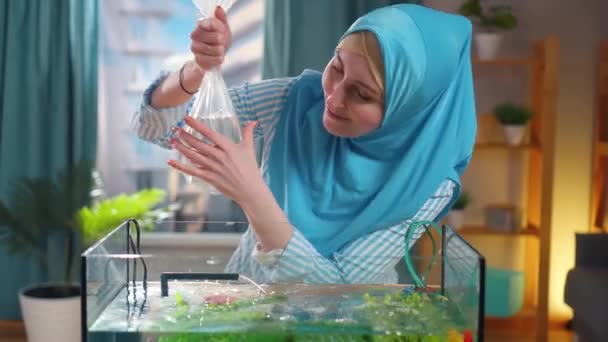 Mulher muçulmana em lenço de cabeça nacional libera peixe em um novo aquário — Vídeo de Stock