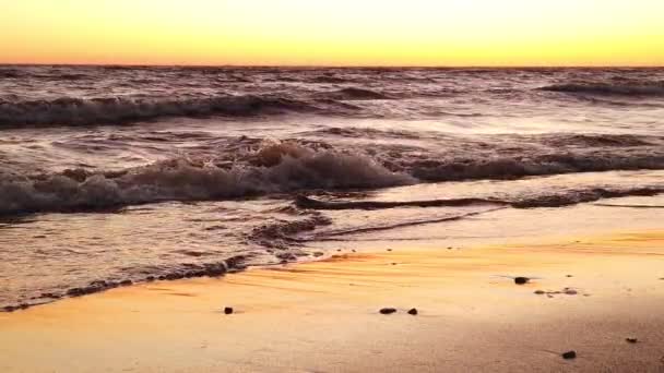 海の上に黄金の夕日 波が海岸に突進する ビーチのぬれた砂 スローモーション 暖色系 — ストック動画
