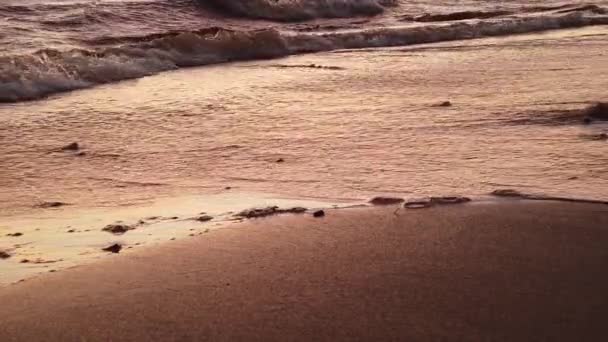 Pôr Sol Dourado Sobre Mar Ondas Correm Para Costa Areia — Vídeo de Stock