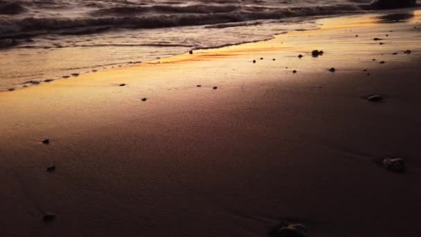 Ondas Correm Para Costa Areia Molhada Praia Pôr Sol Dourado — Vídeo de Stock