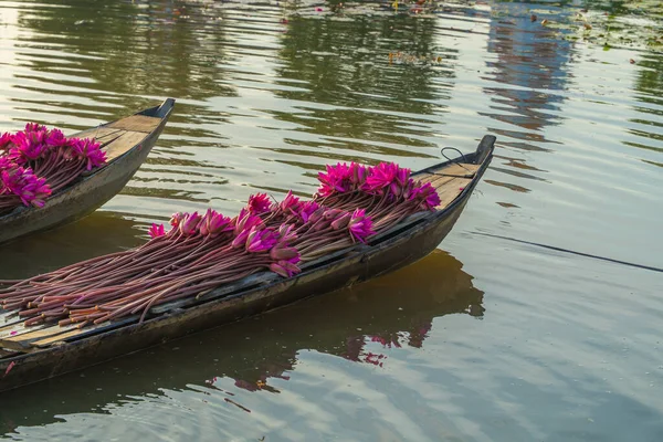 Pembe nilüferler, Moc Hoa, Long An Eyaleti, Vietnam 'da sakin bir nilüfer havuzunda yüzen geleneksel ahşap bir tekneye konur. Sahne, Mekong Deltası 'nın barışçıl kırsal güzelliğini ve günlük yaşamını temsil ediyor. 