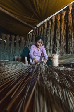 Long An, Vietnam - 22 Ağustos 2024: Yaşlı Vietnamlı bir kadın kırsal bir atölyede el ile süpürge çimeni dokuyor. Arkasındaki sıra sıra kurumuş süpürge çimleri geleneksel el sanatları yöntemini sergiliyor. Bu otantik sahne V 'yi yansıtır