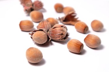 Fındık yakın çekim, beyaz arka planda izole.