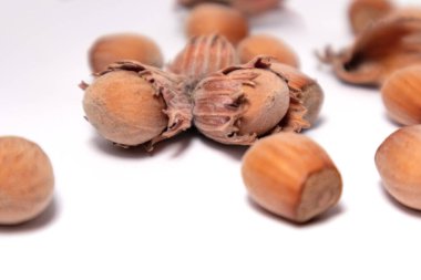 Fındık yakın çekim, beyaz arka planda izole.